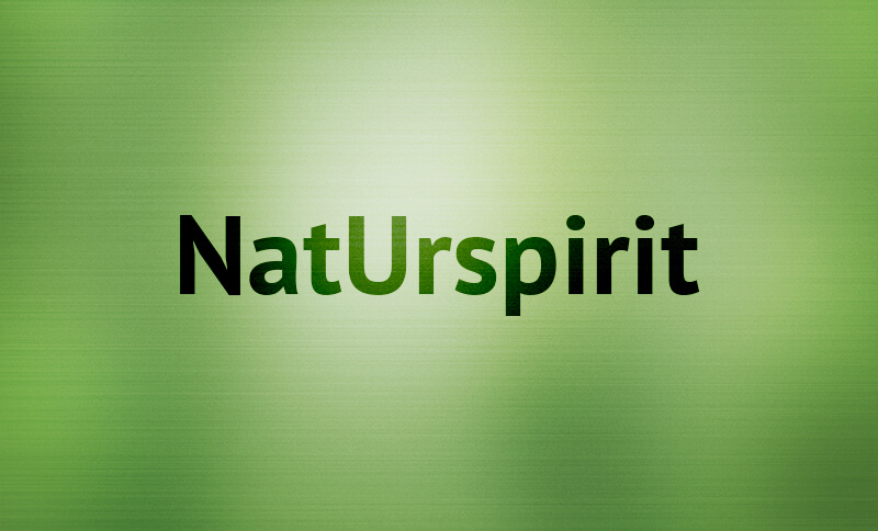 Naturspirit - Der Weg des Nordens